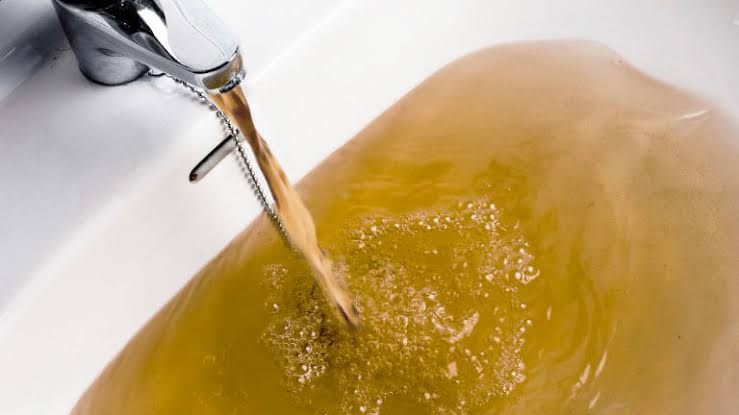 Imagen de un filtro de sedimentos transparente mostrando los sedimentos atrapados.